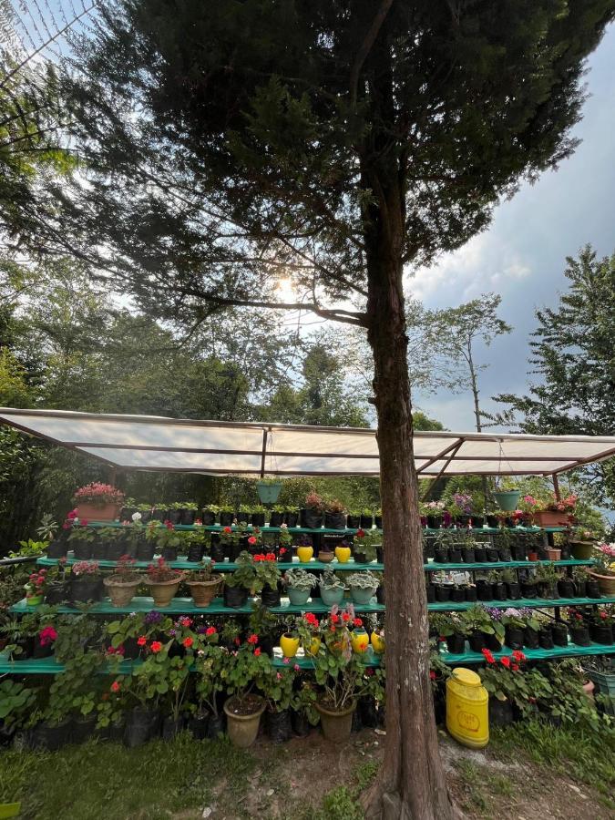 Ifseen Villa Pelling Exterior foto